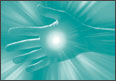 Reiki - Reiki Healing